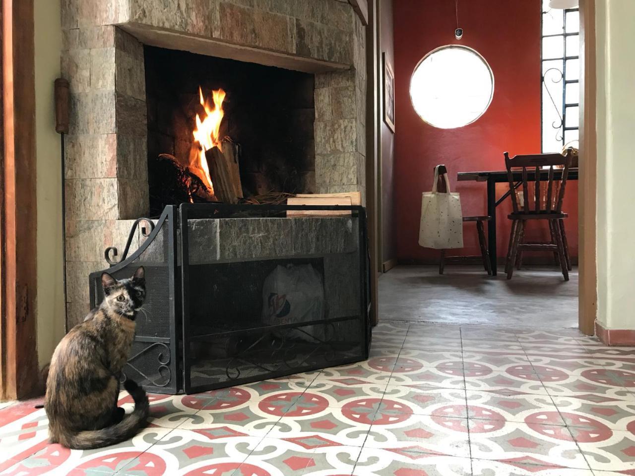 Frida Casa Hostel เปโลตัส ภายนอก รูปภาพ